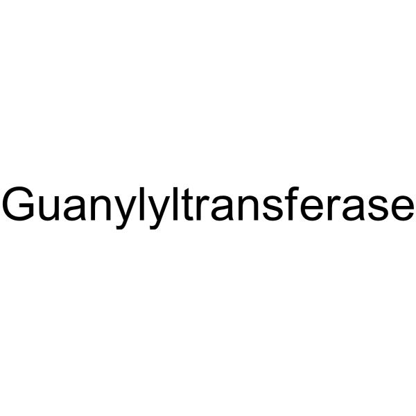 Guanylyltransferase 593278-77-4